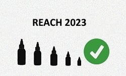 REACH 2023