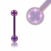 Color Titaniumium - barbell - purple 14 mm 5 mm