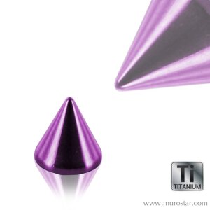 Color Titan - Spitze 1,2 mm 4 mm lila