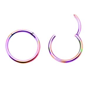 Rainbow Steel  - Segment Clicker Ring 1,2 mm 6 mm