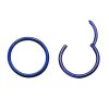 Blue Steel  - Segment Clicker Ring 1,2 mm 12 mm