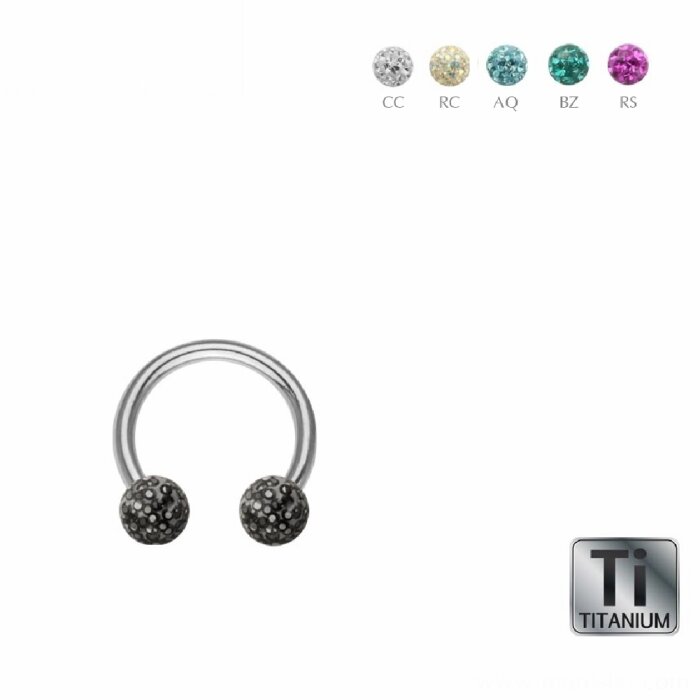 Titanium - CBR Circular Barbell (horseshoe) - Epoxy...