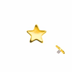 Gold Steel - Dermal Anchor  - Star - 1,2 mm