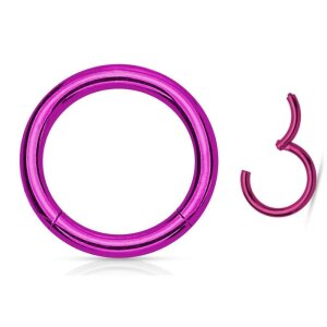 Purple Steel  - Segment Clicker Ring