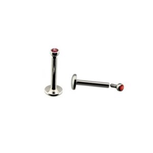 Steel - Labret - Crystal - Internally Threaded AQ -...