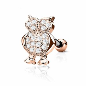 Steel - Ear stud - Crystal Owl - Tragus