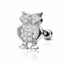 Steel - Ear stud - Crystal Owl - Tragus