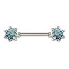 Acier - Barrette à mamelons - Pierre Turquoise