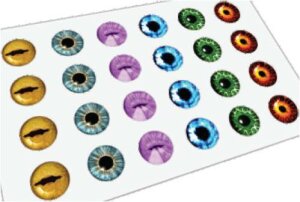 Steel - Ear stud - 12pcs Set - Eye