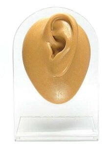 Silicone Display Body Part - left Ear