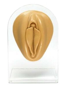 Silicone Display Body Part - vagina