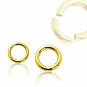 Gold Steel - Segment Ring