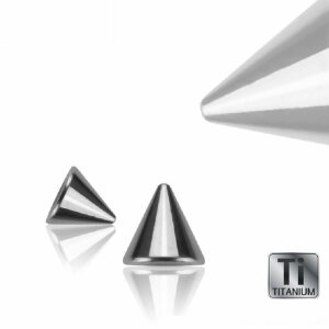 1.2 mm - 3 mm - Ti Gloss Titanium - Embout de vis