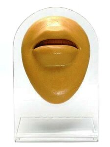 Silicone Display Body Part - Lips