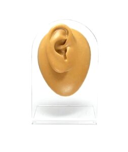 Silicone Display Body Part - Right Ear