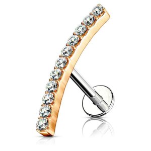 Steel - stud earrings - 11 crystals - tragus