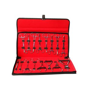 Piercing Tool Kit 16-teilig