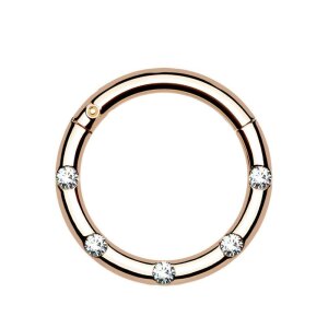 Steel - Segment Clicker - 5 Kristall Rosegold 8 mm