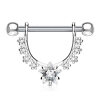 Stahl - Nipple Bar - Stern - Kristall CC