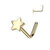 Titanium - Nose Stud - L Shape - Star