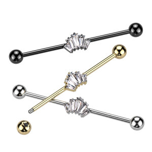 Stahl - Industrial Barbell - Baguette - Crown - CC