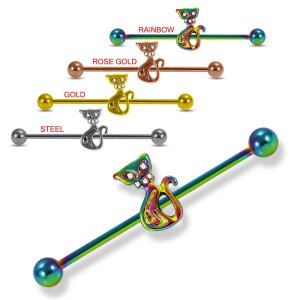 Stahl - Industrial Barbell - Katze - CC Kristall Steel