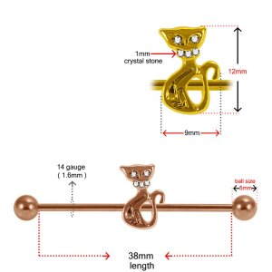 Stahl - Industrial Barbell - Katze - CC Kristall Steel