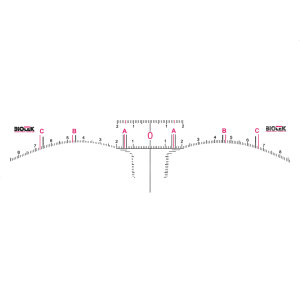 Biotek - Einweglineal - Augenbrauen - 12 Stk