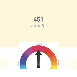 Nouveau Contour - PMU - 451 Camo A.O - 10 ml