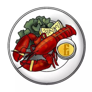 Pastie Pack XL - Dinner Plates - Nippel Covers