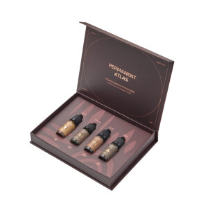 Etalon Mix - PMU - Eyebrow Set by Anna Kutsevolova - 4x 10ml