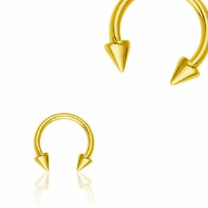 1,6 mm - 6 mm - 3 mm - Gold Steel - CBR Hufeisen - mit...